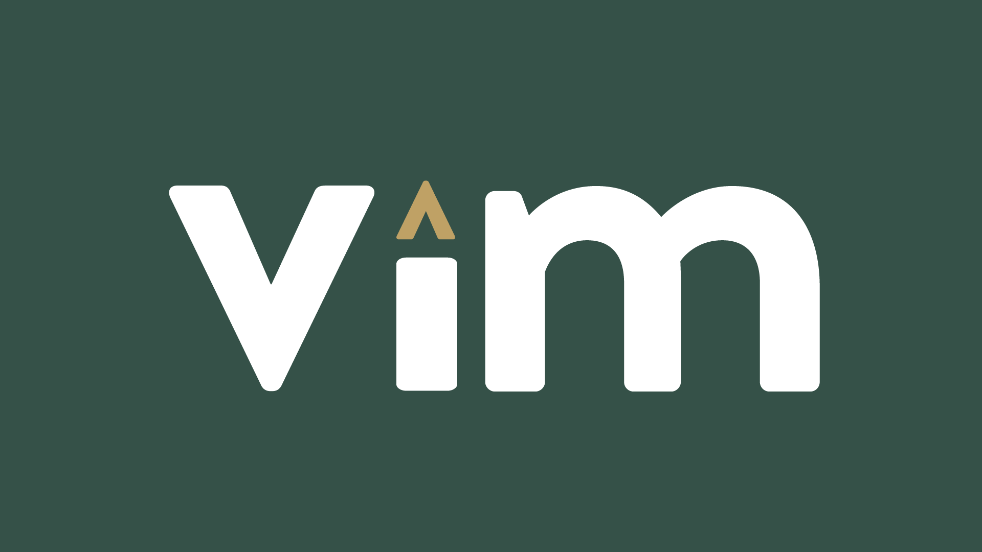vim value investing mentorship