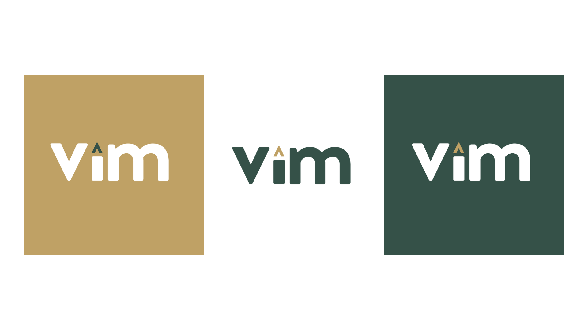 VIM value investing mentorship